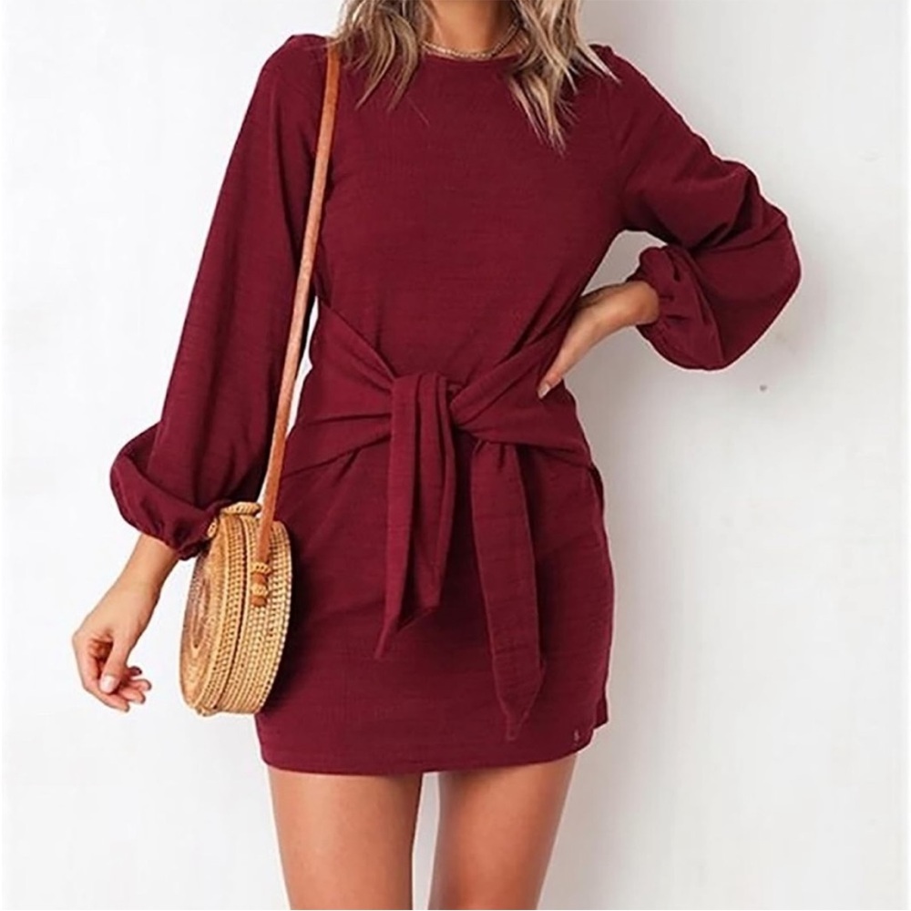 PRETTYGARDEN Women's Large 12-14 Long Sleeve Short Dress Crewneck Tie Waist NWT